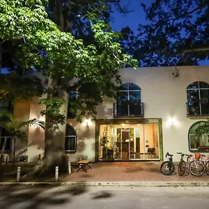 D'luxury Bakalar , Bacalar Mexique